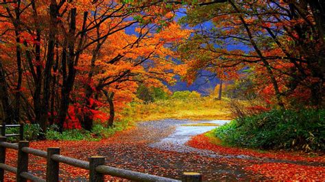 wallpaper of autumn season